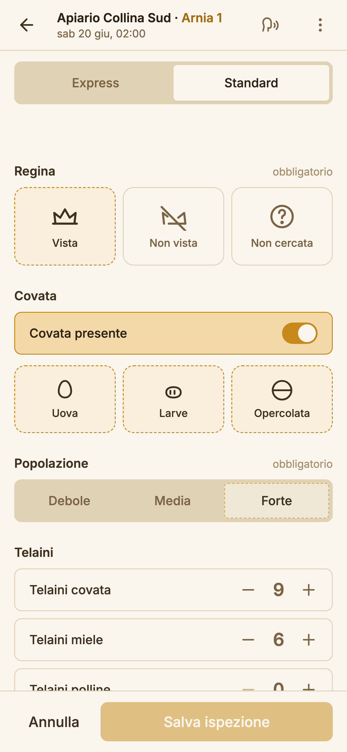 Dettaglio ispezione